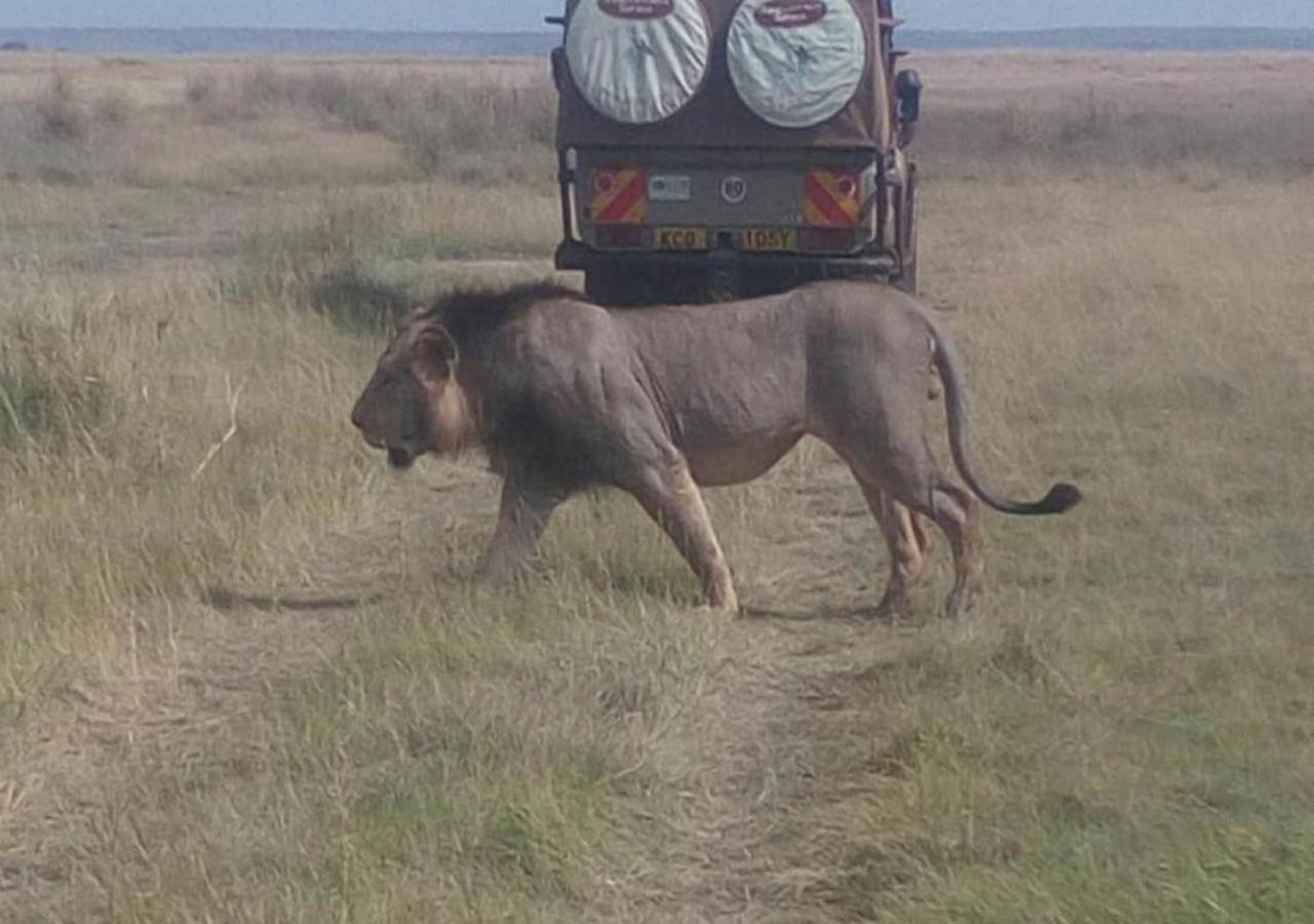 Aa Lodge Maasai Mara Talek Екстер'єр фото