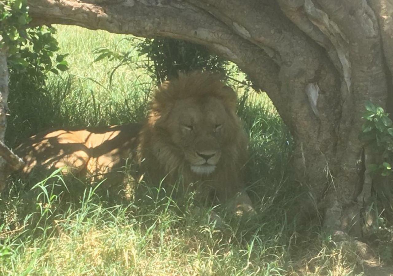 Aa Lodge Maasai Mara Talek Екстер'єр фото